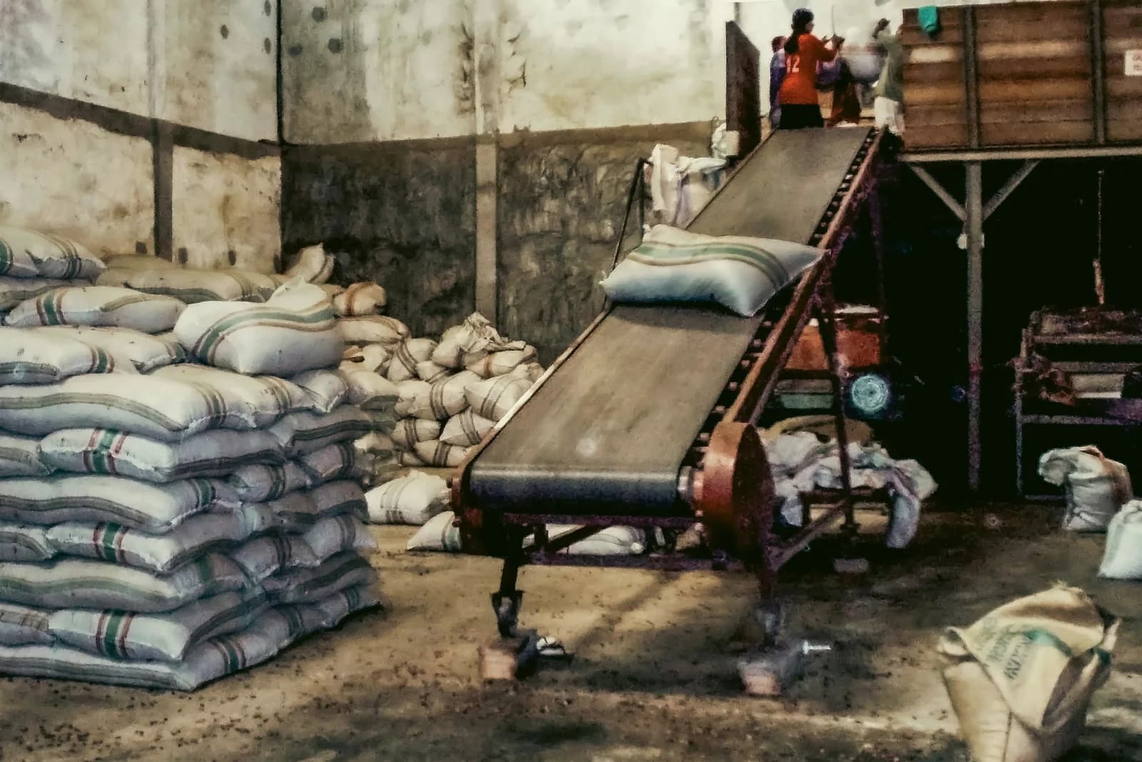 Cocoa crop sacks moving through a warehouse handling system