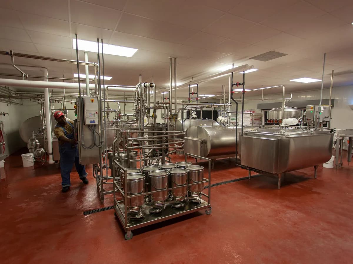 Stainless dairy processing equipment inside a milk production facility
