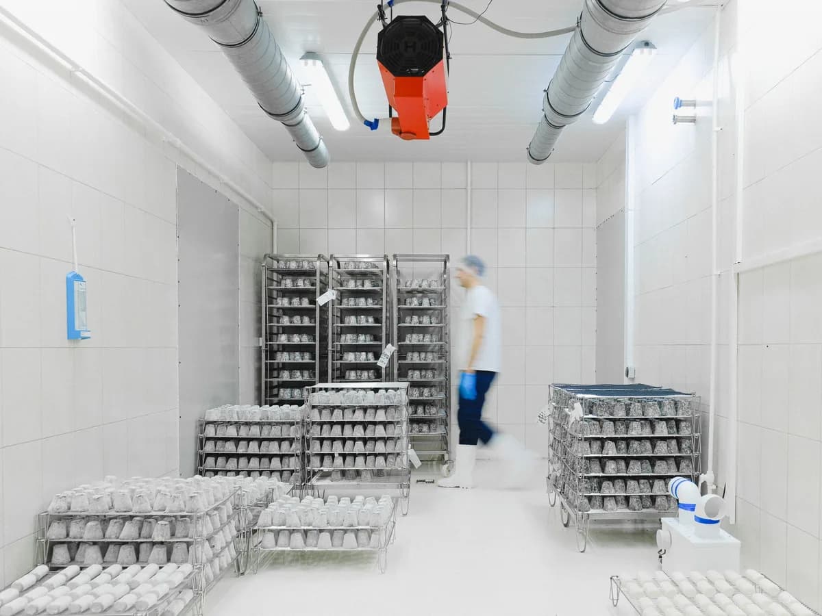 Clean food storage room illustrating controlled-temperature handling