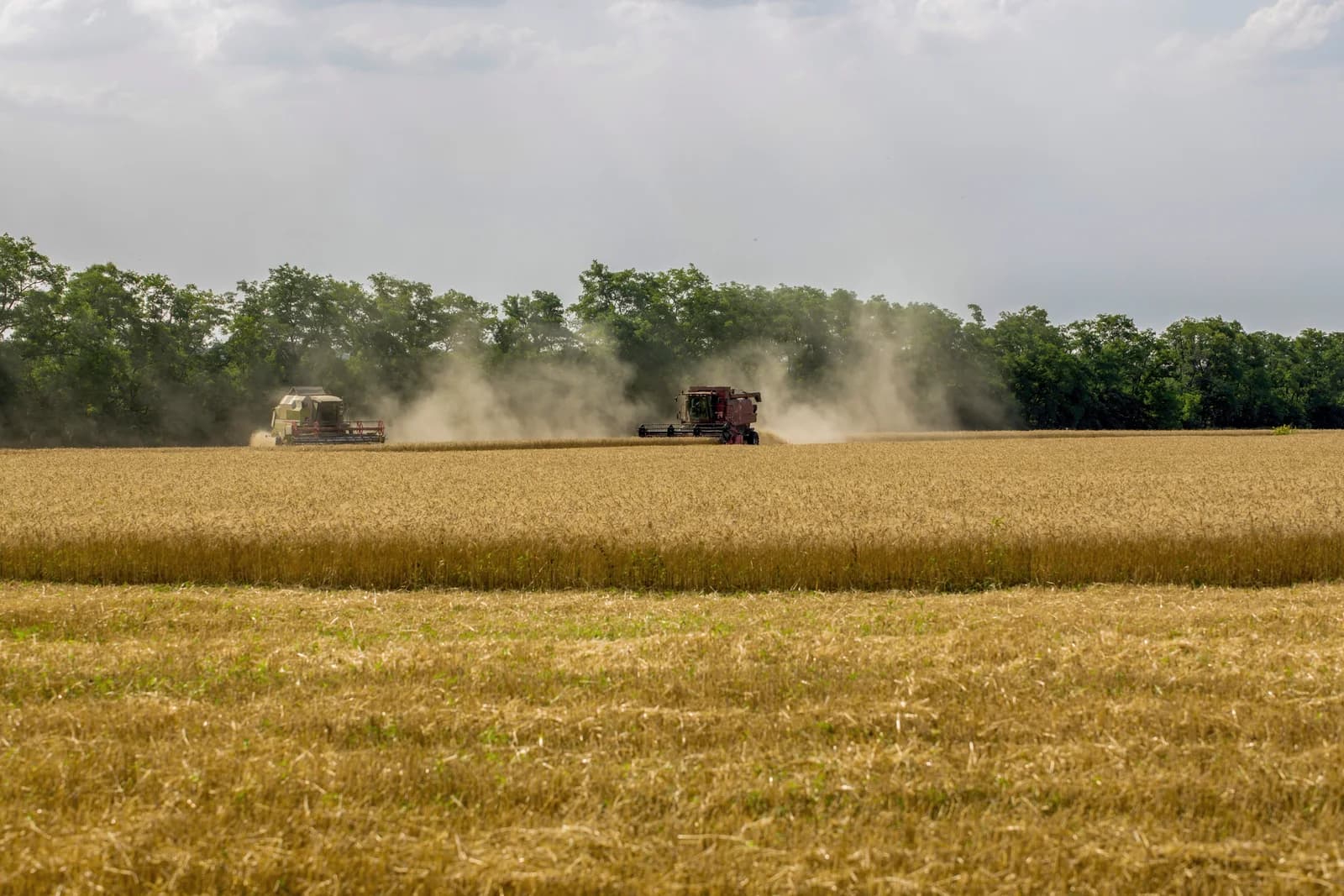 Combine harvesters working across a wheat field