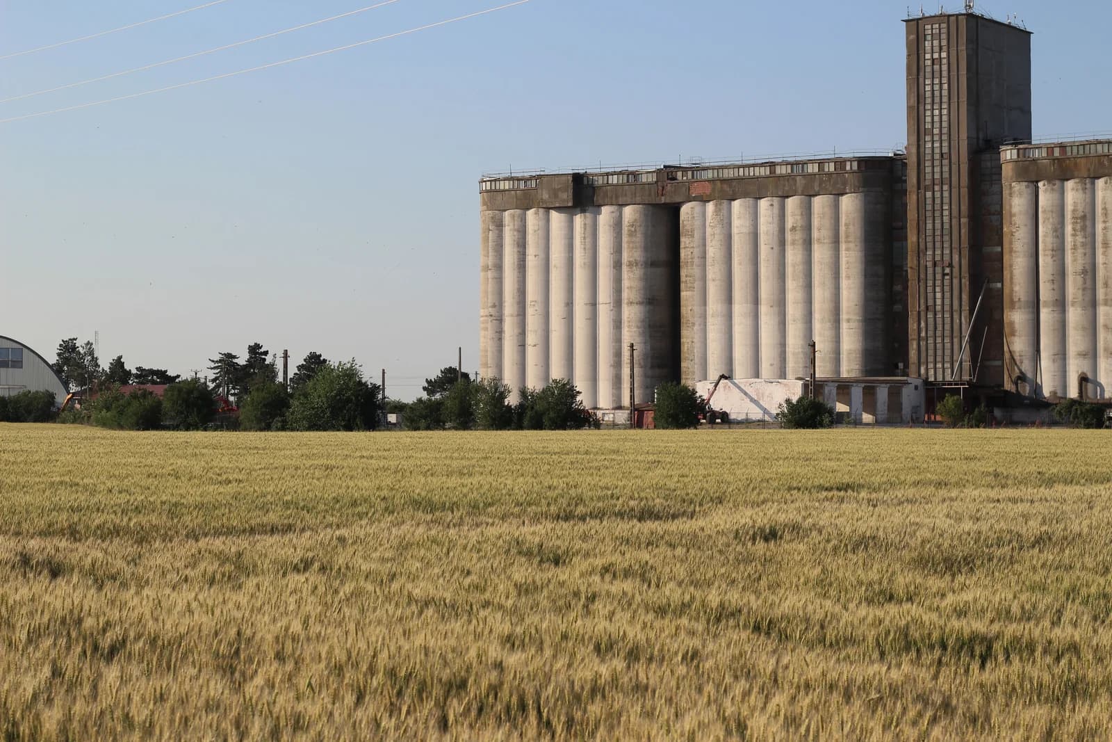 Wheat field extending toward large agricultural processing silos