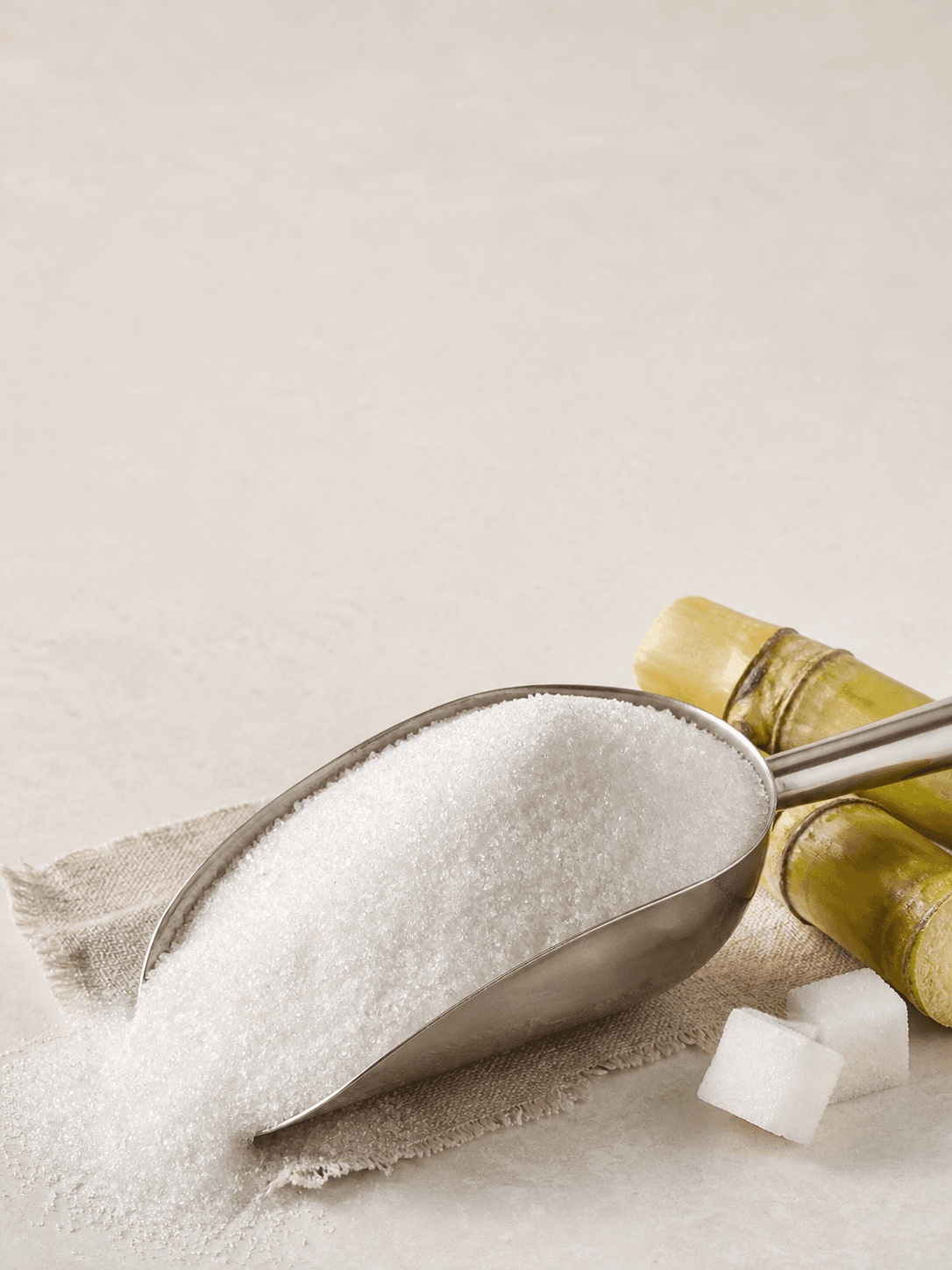 Bright white refined cane sugar crystals with cut sugar cane