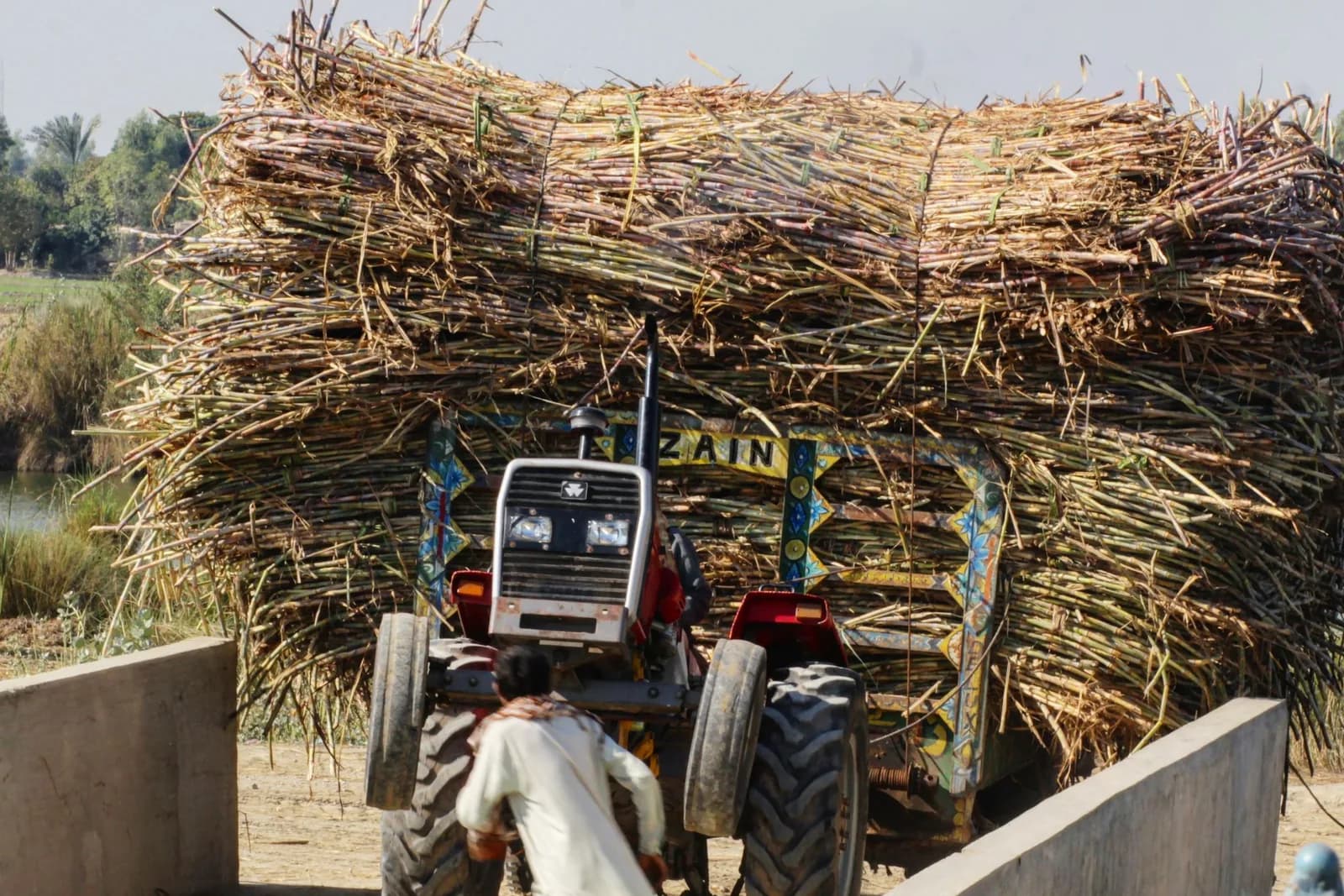 Sugarcane being transported from the field as part of the origin logistics flow