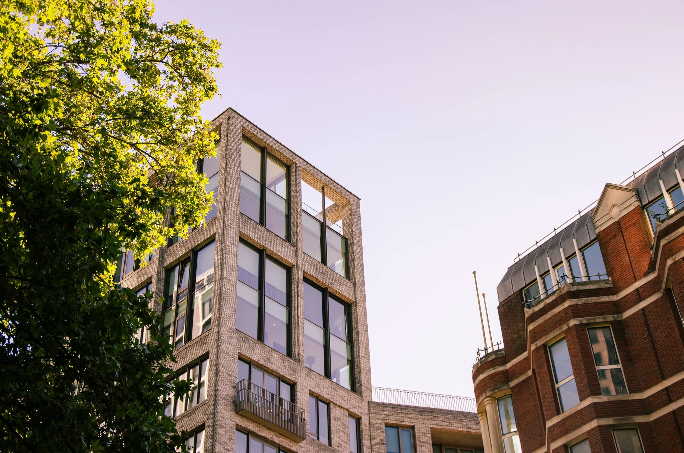 Contemporary London buildings framed by leafy trees