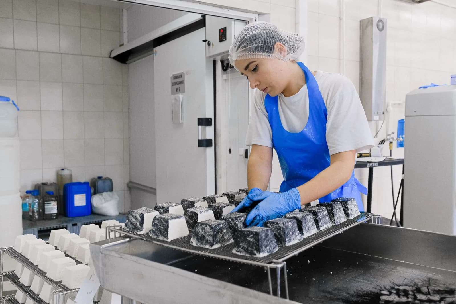 Food production worker handling products in a controlled processing facility