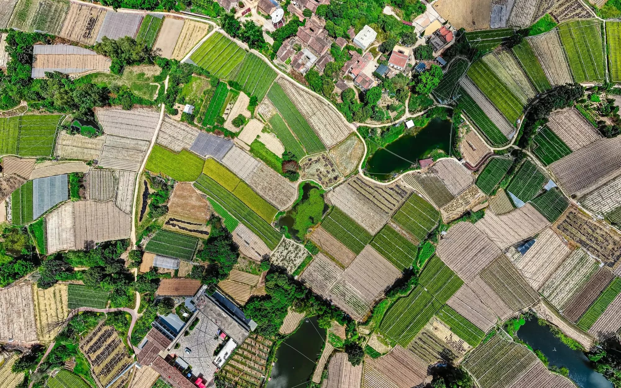 Aerial patchwork of cultivated agricultural fields and rural ponds
