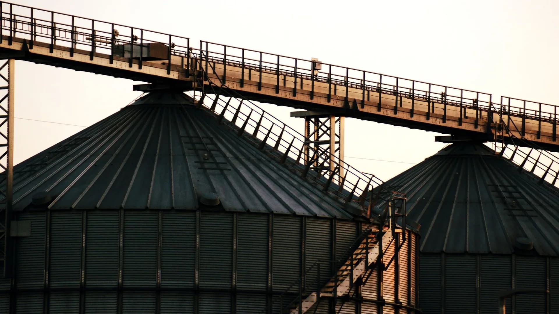 Industrial grain silos and elevated conveyors in warm evening light
