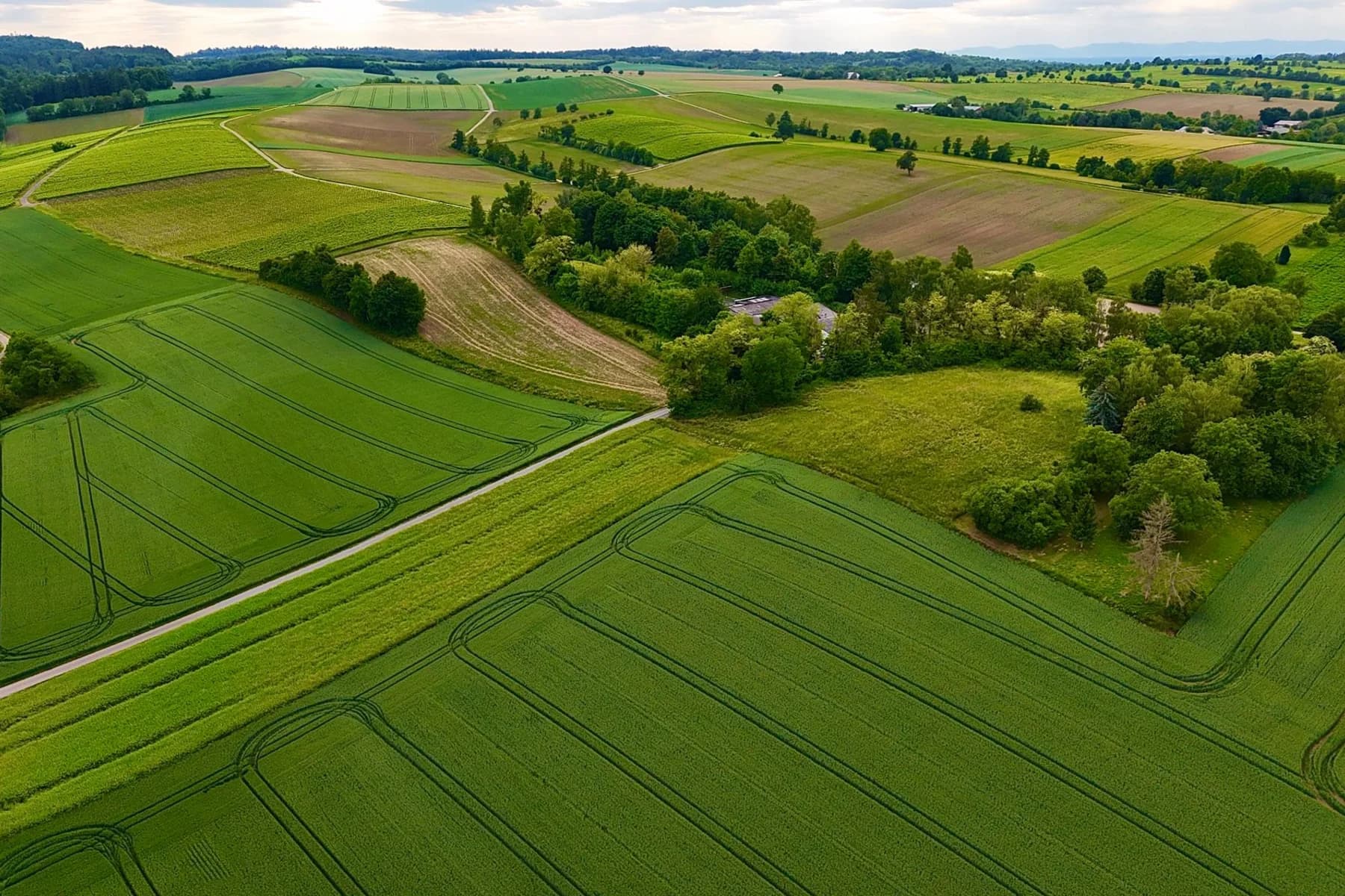 Aerial view of organised green agricultural fields