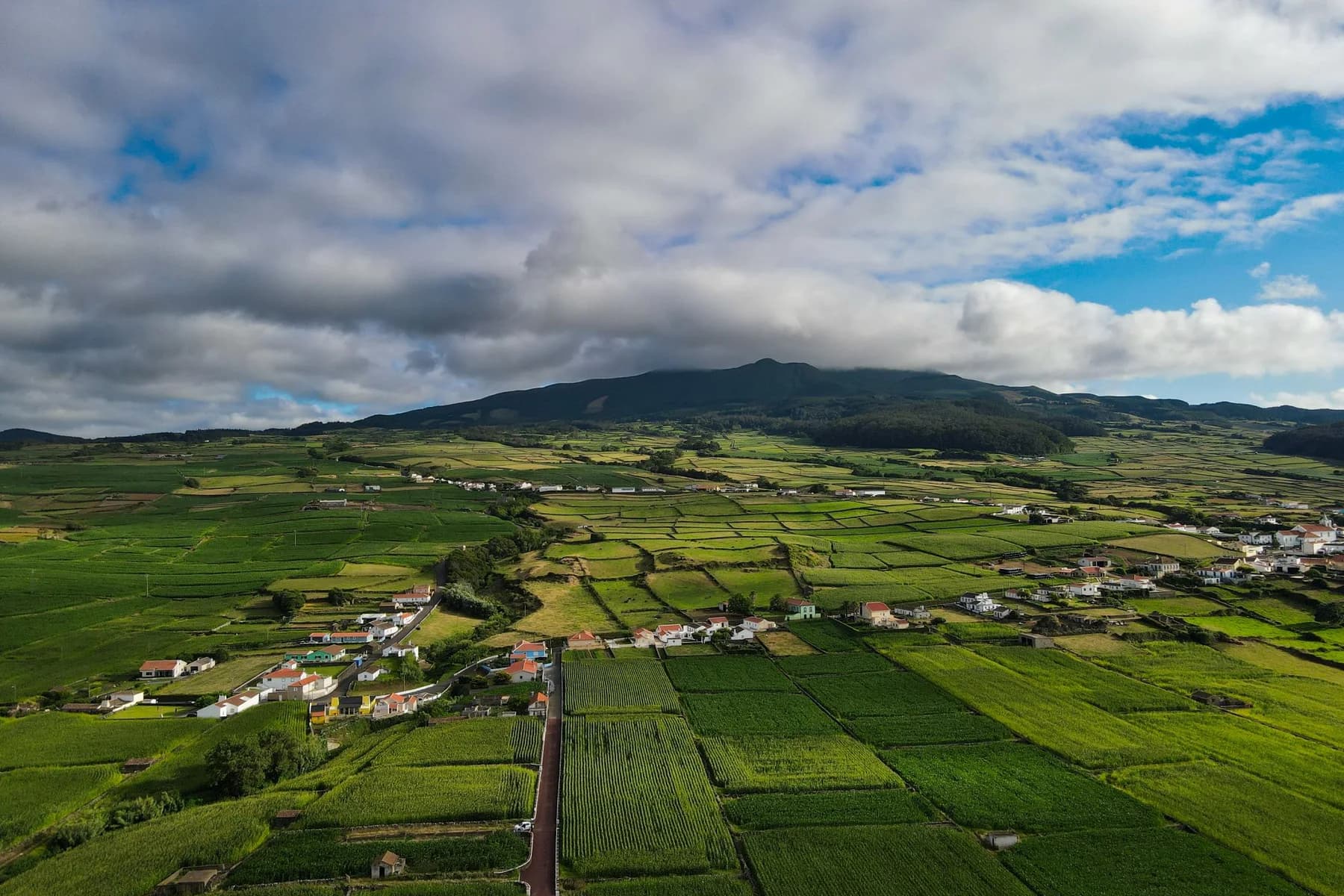 Expansive agricultural landscape representing a clearly defined sourcing requirement