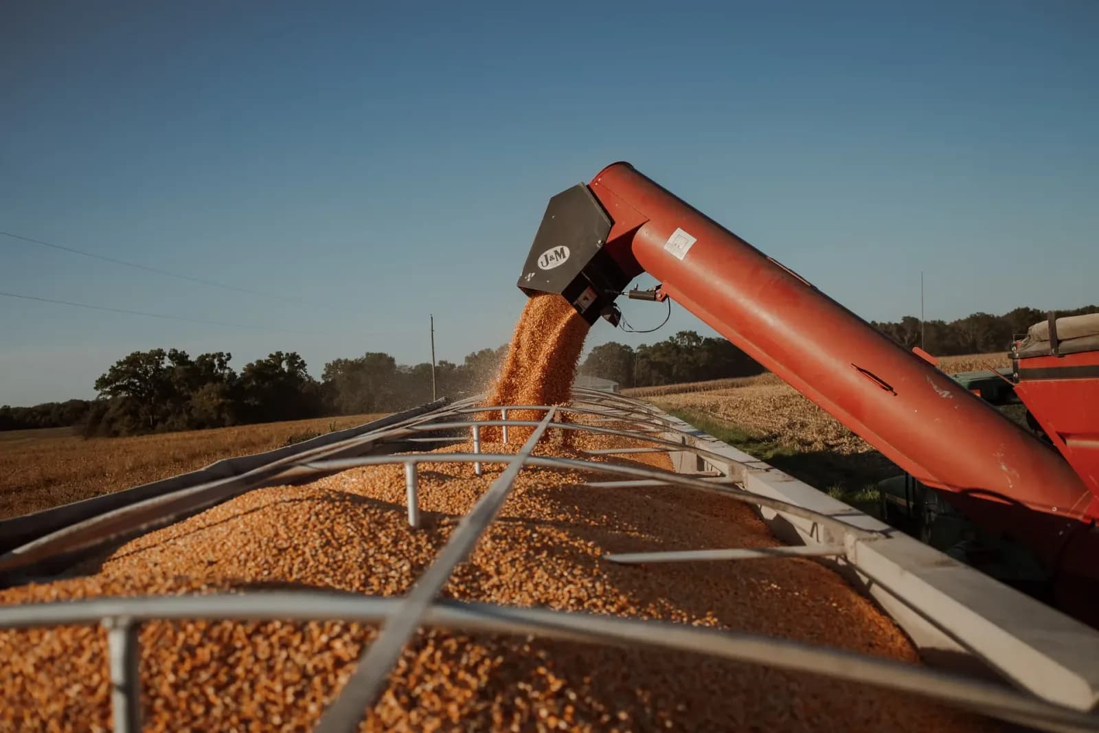 Bulk grain being transferred into a trailer at origin