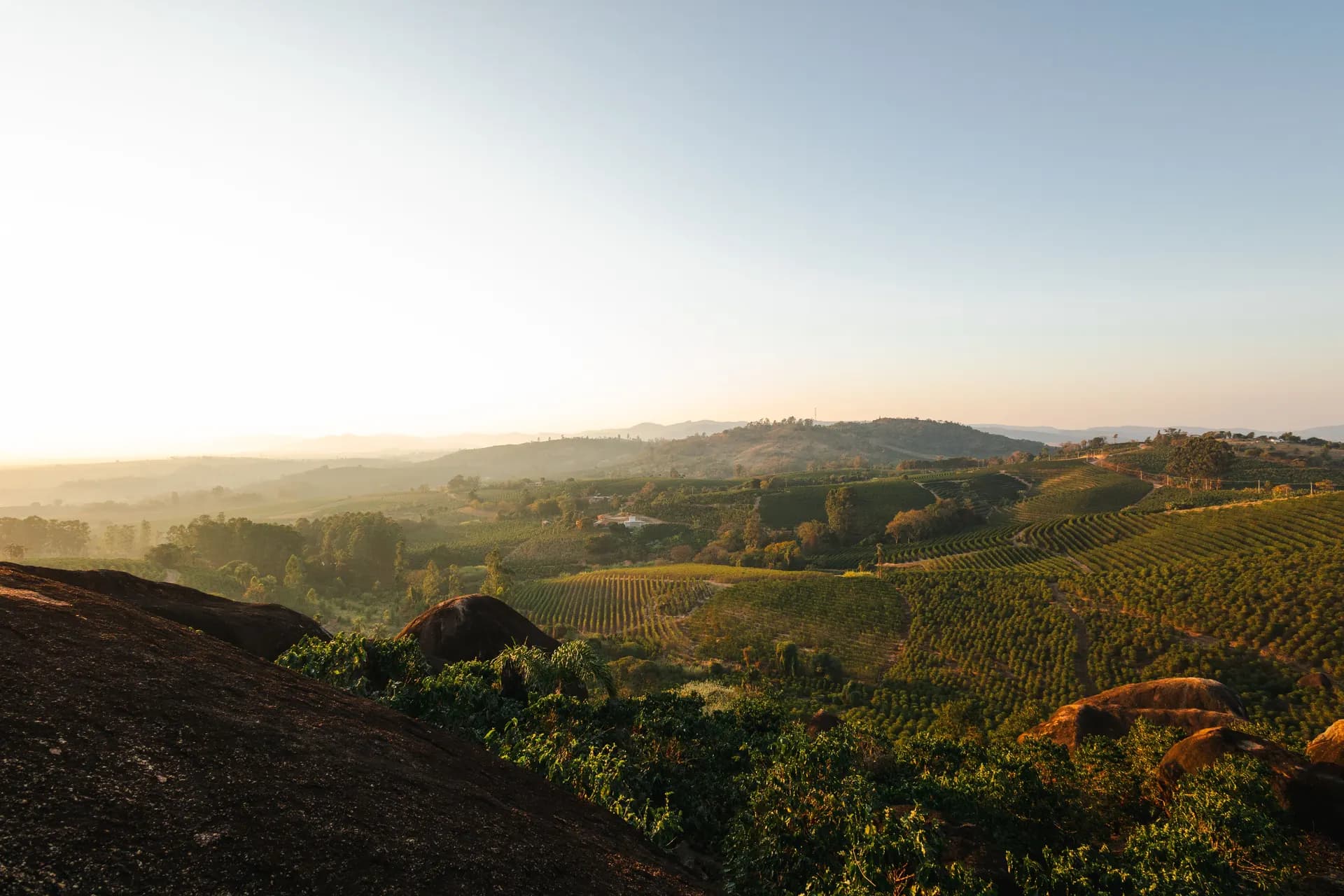 Coffee-growing hills across a South American agricultural landscape