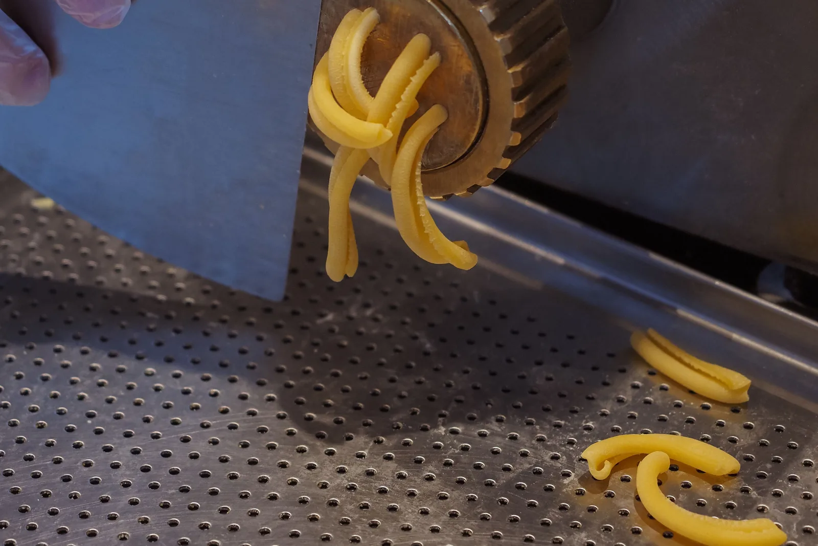 Pasta dough moving through industrial production equipment